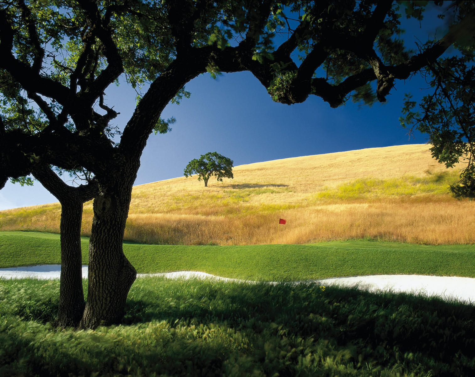 Coyote Creek Golf Club #3 - Morgan Hill, California