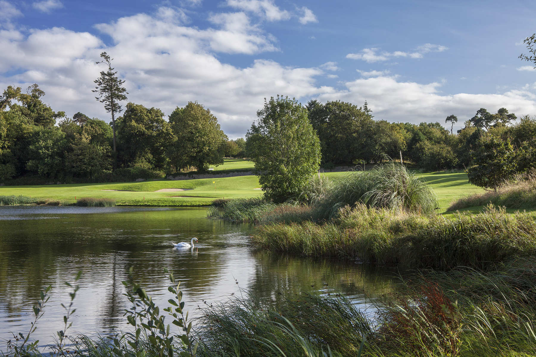 Fota Island Golf Resort #13, Cork, Ireland