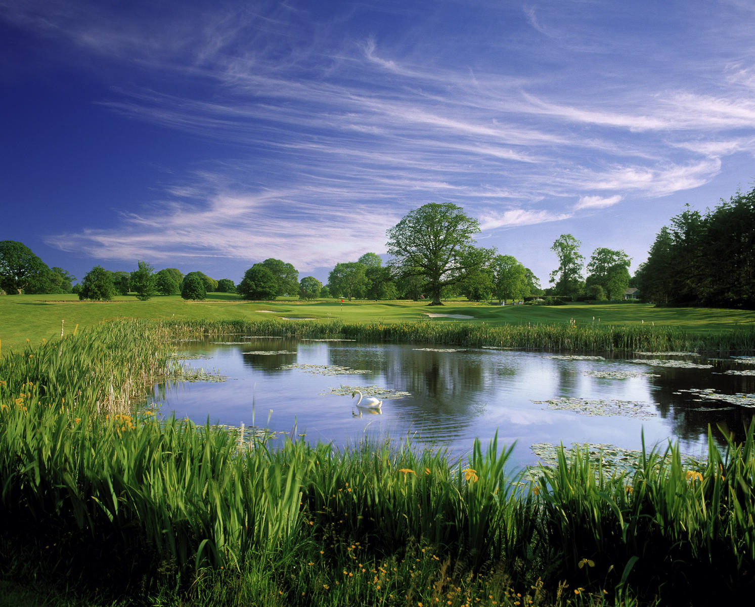 Headfort Golf Club #9, Kells, Ireland