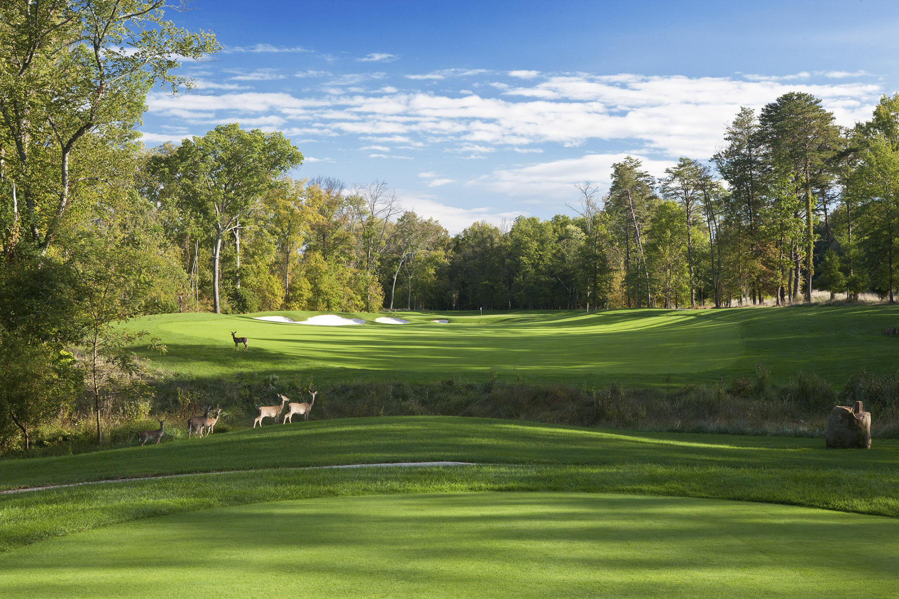 Landsdowne Golf Club & Resort #11, Leesburg, Virginia