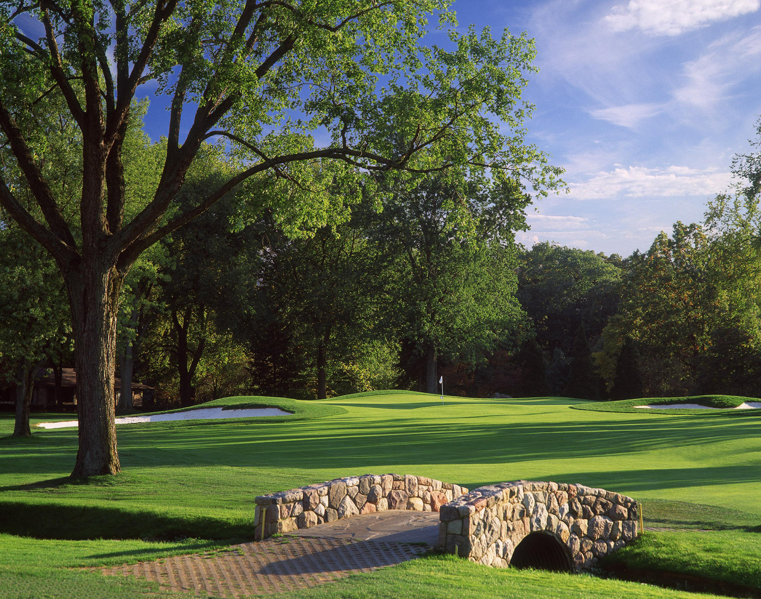 Oakland Hills Country Club #5, Bloomfield Hills, Michigan