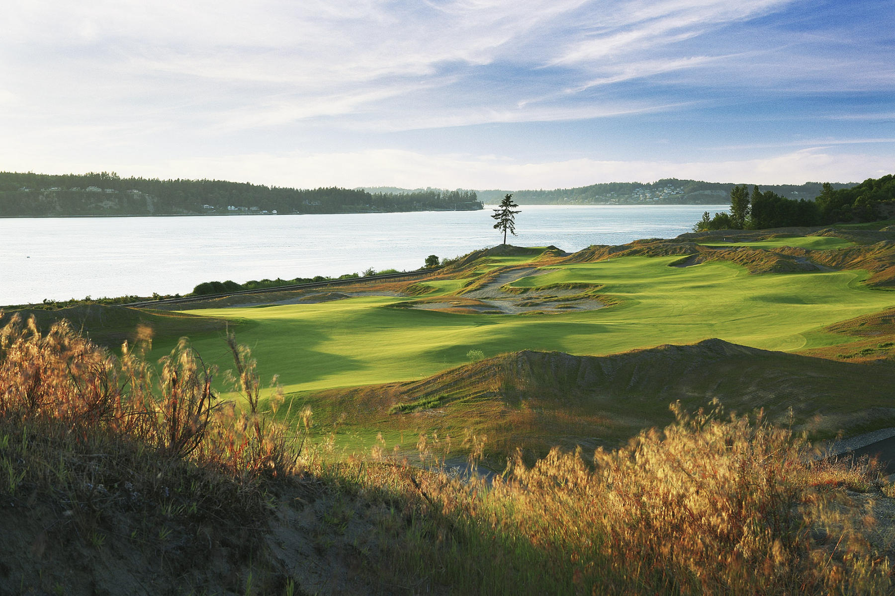 Chambers Bay Golf Course #2, University Place, Washington