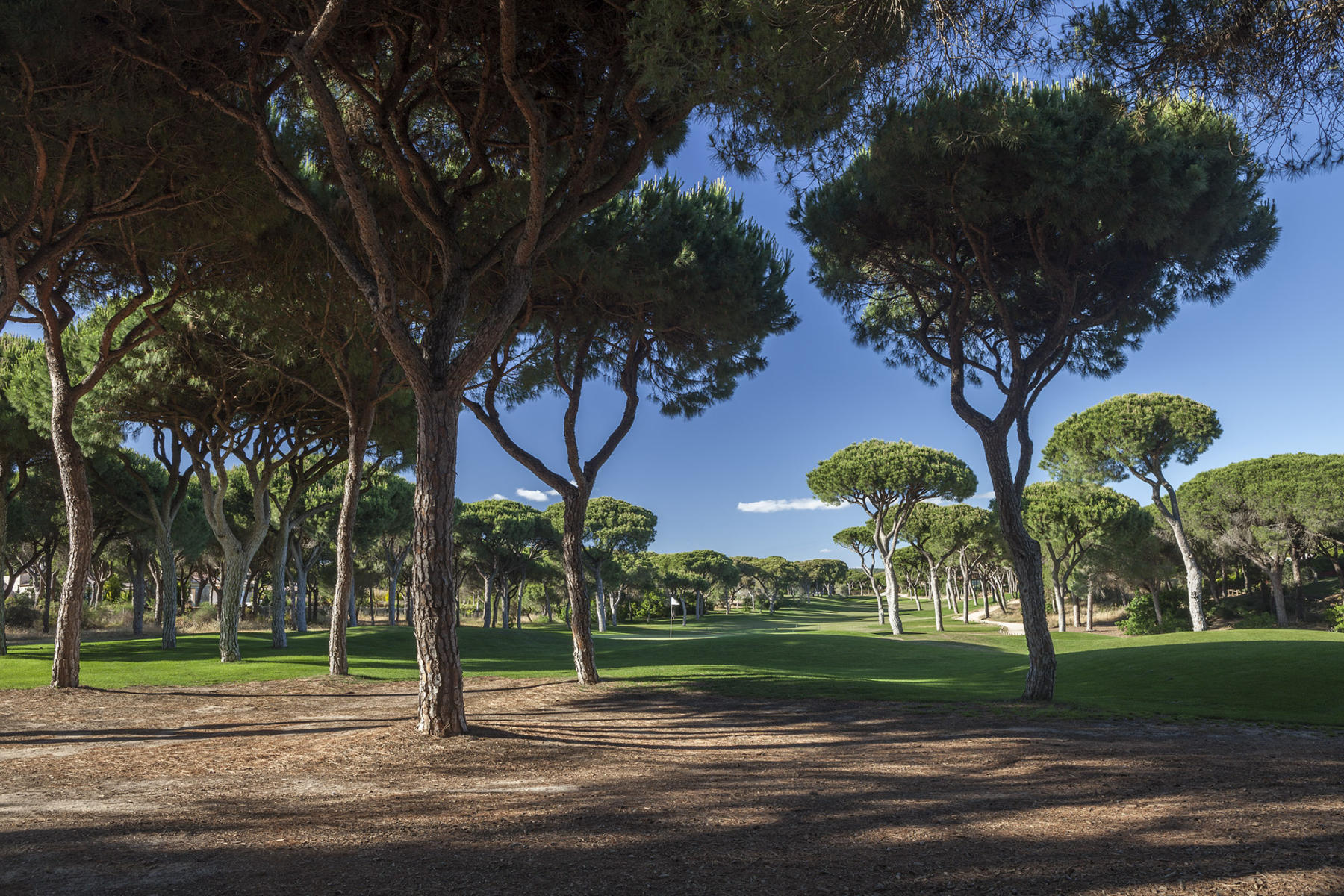 Pinhal Golf Course #7, Villamoura, Portugal